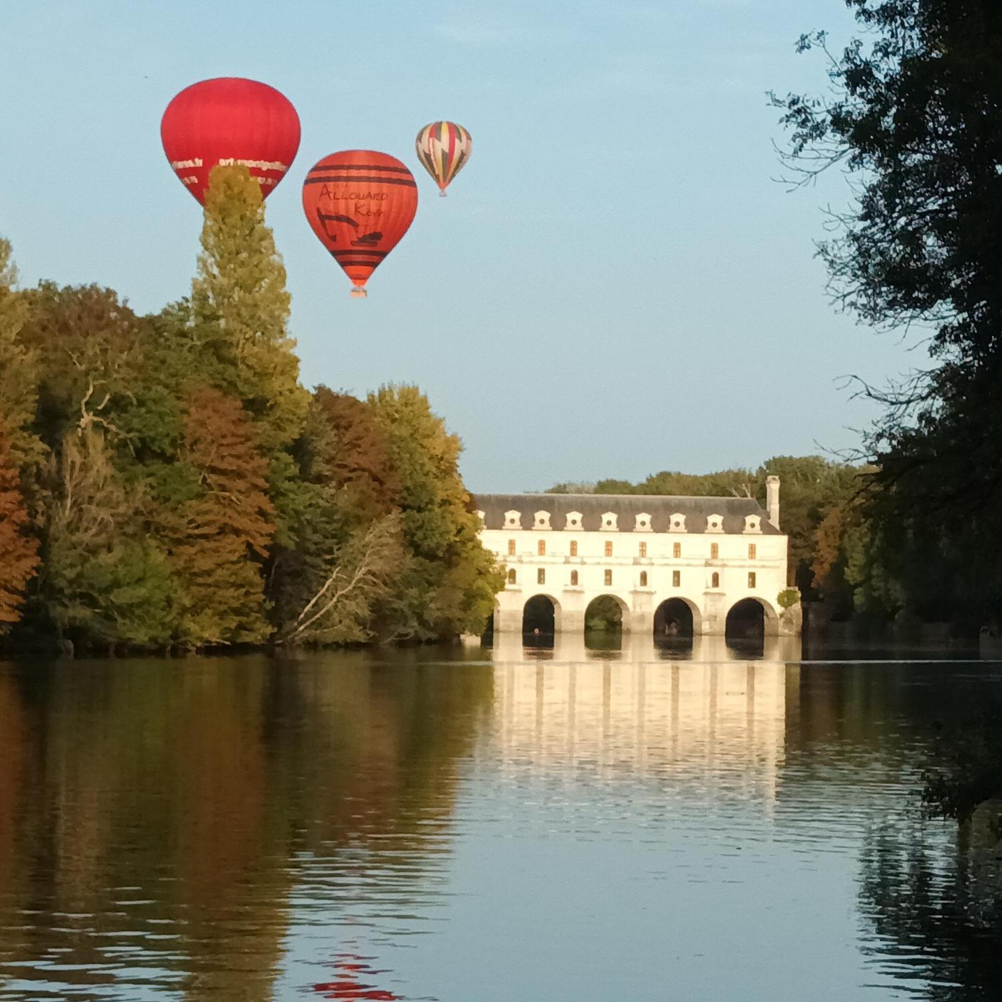 Au Nom Des Dames, Maison Et Table D'Hotes, Pres De Chenonceau Et Du Zoo De Beauval Faverolles-sur-Cher Exterior foto