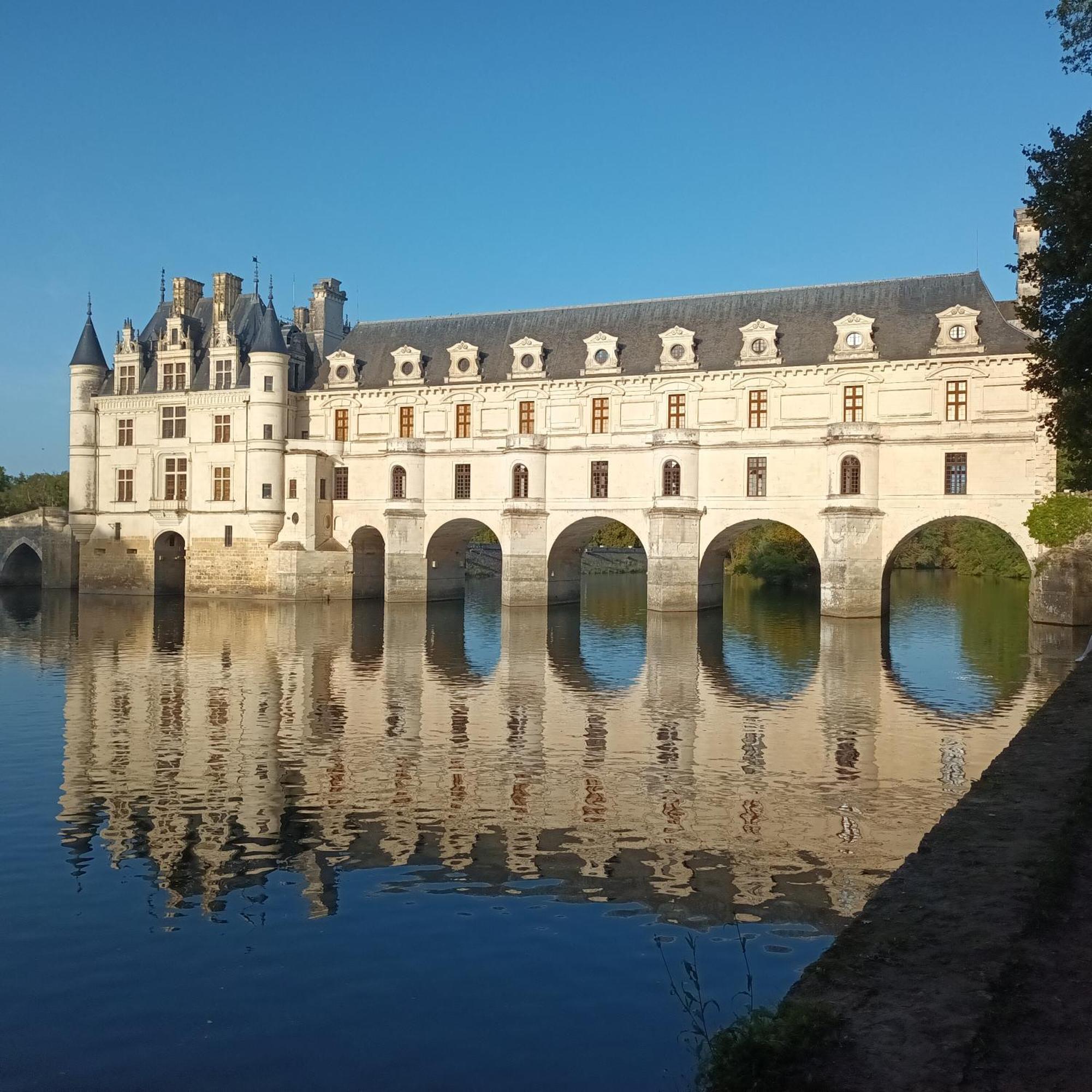 Au Nom Des Dames, Maison Et Table D'Hotes, Pres De Chenonceau Et Du Zoo De Beauval Faverolles-sur-Cher Exterior foto